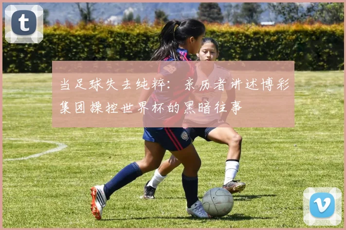 当足球失去纯粹：亲历者讲述博彩集团操控世界杯的黑暗往事