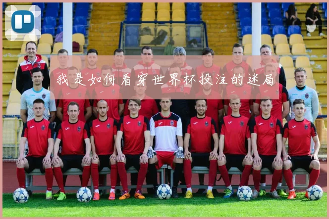 我是如何看穿世界杯投注的迷局