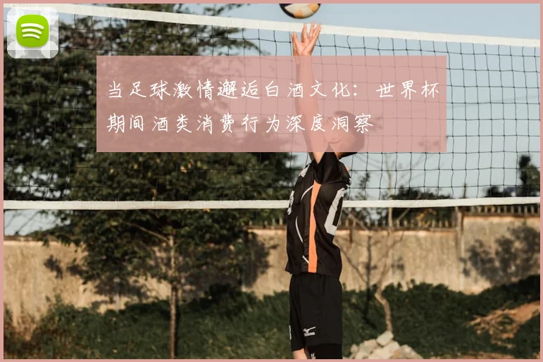 当足球激情邂逅白酒文化：世界杯期间酒类消费行为深度洞察