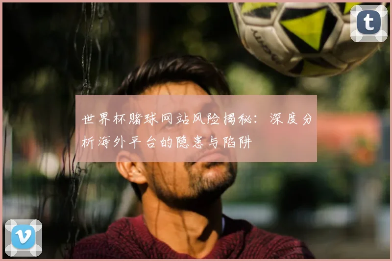 世界杯赌球网站风险揭秘：深度分析海外平台的隐患与陷阱