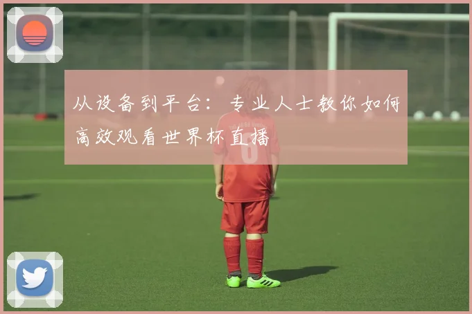 从设备到平台：专业人士教你如何高效观看世界杯直播