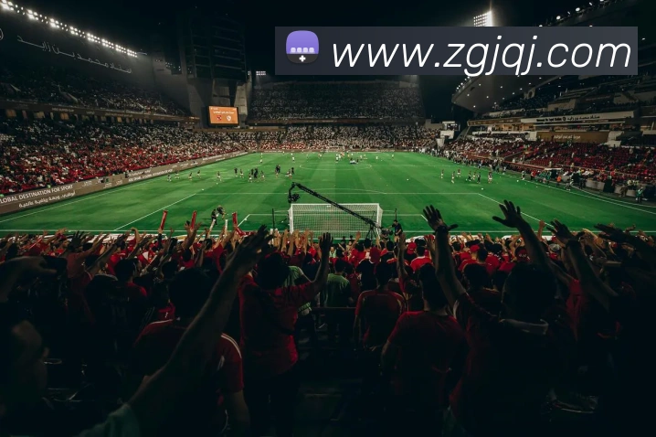 星空体育(中国)官网品牌故事